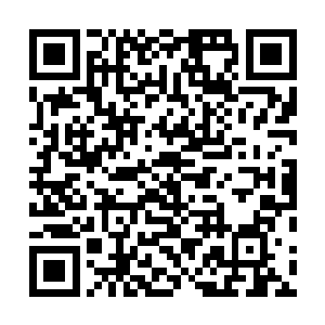 简练而概括地将此次回国的主要目的用两句话说得很清楚二维码生成
