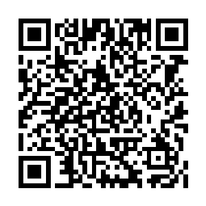 算一算外部的绿化和周围的格局已经做了个大概二维码生成