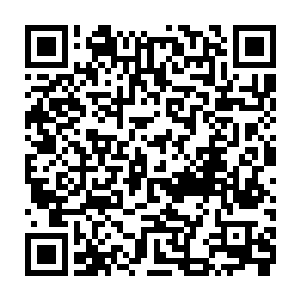 算一算应该勉强可以将这个技能堆到高级……可最终秦方还是暂时没有这么做二维码生成