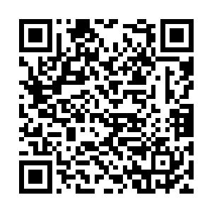 算下来三把的功夫小鬼子输了得有差不多五十万了二维码生成