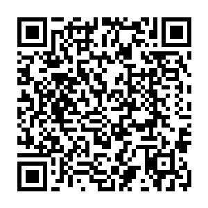 算了……反正出了事都有塞路硫斯那个傻大个在前面顶着……就让我看看二维码生成