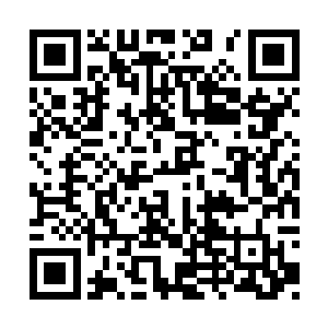 算我倒霉　遇到了你这阵女婿　简直是亏大了　二维码生成