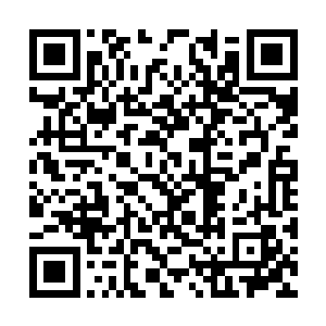 算是代表留仙岛答谢龙渊大陆各位远道而来的朋友二维码生成
