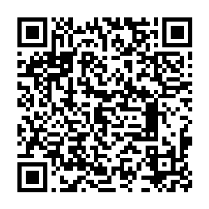 算是协助某个国家的军情特工对怀疑有间谍行为的华国商团发起查验二维码生成