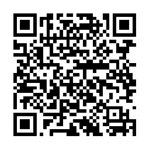 算是彻底颠覆了他们对于军事学院菜鸟新生的定义二维码生成