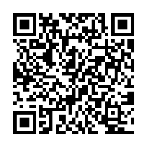 算是把自己的大好年华甚至把这一辈子都给搭进去了二维码生成