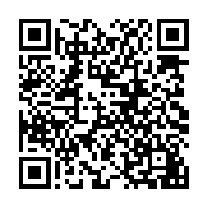 算是最适合人类这种两米左右碳基智慧生命生存的重力二维码生成