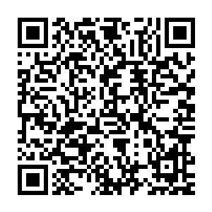 算是极少见的那种略有些秀气的脸庞――有些偏向东方式的审美标准二维码生成