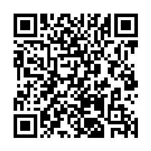算是知识传承之所虽说巨龙们的知识大多铜鼓血脉记忆遗传二维码生成