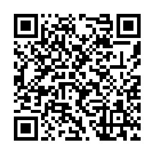 算起来他们父子竟然已经有整整七八年每天见过了二维码生成