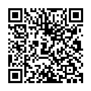 管家一脸喜悦的拿着一张怀孕化验单和一大堆补走到了他的面前二维码生成