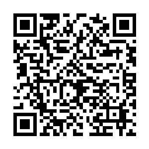 管家带着他到了房间里然后介绍给了贝海还有律师二维码生成