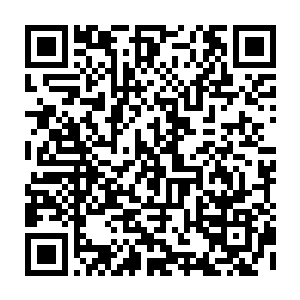 管家说完顿时一屋子坐着的人除了睡着的弗洛所有人的目光都落到了贝海的身上二维码生成