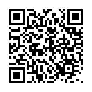 管导苏叶的潜意识比想象中还要契合人设二维码生成