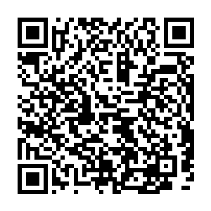 箫程昱想让阮荷黎看看有没有可能让病人暂时在服抗凝药物的同时进行手术二维码生成