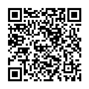 箭尖微微闪烁出的寒光几乎令她全血的液都凝住了二维码生成