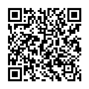 箱子才能继续保持冰冻或者给里面的生物提供基本生存能源二维码生成