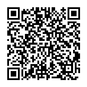 箱子里的空间大为这条大鱼来回的摆动着身体想要躲避小鱼的攻击二维码生成