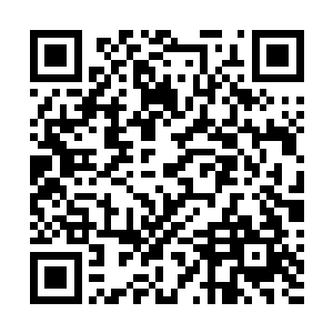 箱子里的鱼证明了梅尔这老头了笼络皮球还真的下了本钱二维码生成