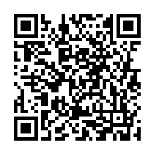 篮球部这里的风风火火和文艺部那里成为了鲜明的对比二维码生成