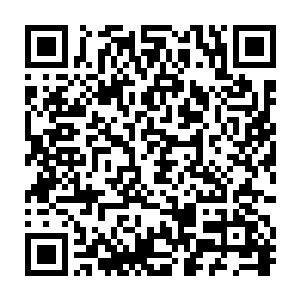 簪花礼过后应该是由提学官等教育界的官员带领新进生员去孔庙拜见孔子二维码生成