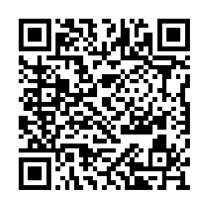 米利克的身边迅速便围上了五个猎狐小组的成员二维码生成