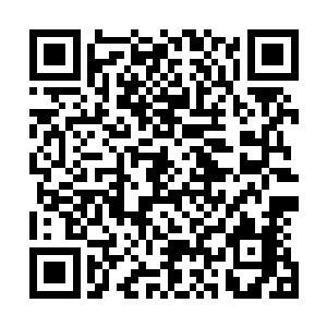 米娅完全没想到艾米竟然会当众宣布自己是孙奉阳的女朋友二维码生成