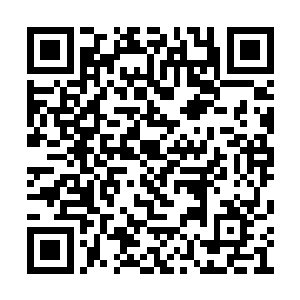 米秀梅仿佛回到了十八年前听到这个消息的一刻二维码生成