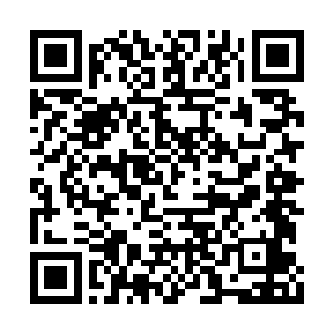 米肯西的巫师们虽然在药园里布置了一重重结界二维码生成