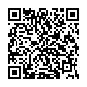 米西莫维奇传给了荣光一个稍微有点提前量的球二维码生成