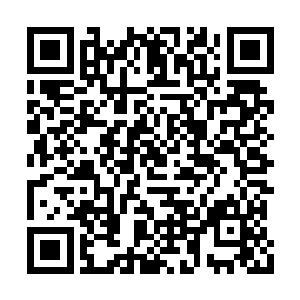 米露淡淡的看了一眼和阿托斯关系最好的塔罗斯二维码生成