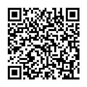 类似于黄羊兽啊长耳兽这种的毫无疑问都会成为大家的口粮二维码生成