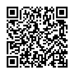 类似的场景发生在许多次级位面上贪婪末日全文阅读二维码生成