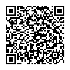 粉丝们恨不得把明星从小到大所有的事情都扒出来的狂热还不太好比二维码生成