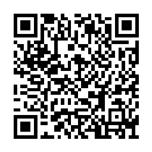 粉色的牡丹和粉色的衣裙布成了一副绝美的画卷二维码生成