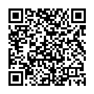 粗壮如胡萝卜的手上却佩戴着好几个闪闪发亮的宝石戒指二维码生成