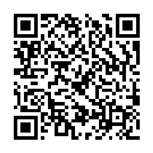 粗大的脖子上面只剩下了一个下巴颏和半截后脑勺二维码生成