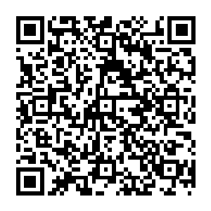 粗略的看了一下之后龙傲天发现这几本书籍有不少都是对天域中的一些隐秘事迹的介绍二维码生成