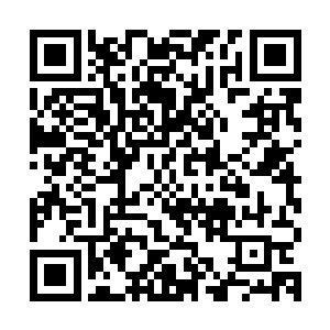 粗长的身子甩打在九大分身的身上或者他们攻击而来的兵器之上二维码生成