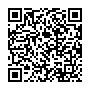 粘附在手上的龙珠突然前无声息的溜到白昊眉心位置二维码生成