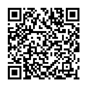 粮食的问题关乎整个白河谷地避难所的生死存亡二维码生成