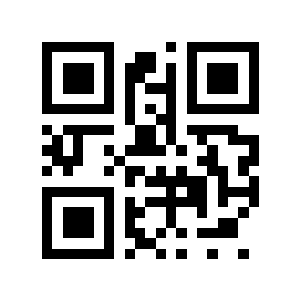 粽子二维码生成