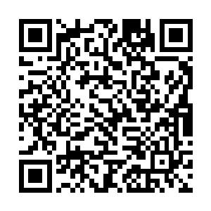 精明的老嬷嬷怎么会想到自己会有败在一个不谙世事二维码生成