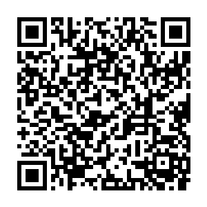 精灵女皇海洛伊丝带着四大上位精灵力压伪王的剧本……我真心期待啊二维码生成