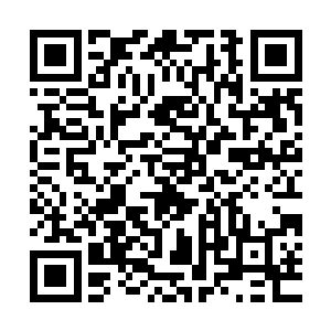 精灵族已经在这七天之中全力将这三艘最强的精灵之舟修复完全二维码生成