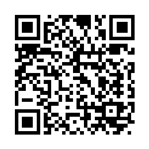 精益求精的李奇又在盘子边缘摆放了一些青菜二维码生成