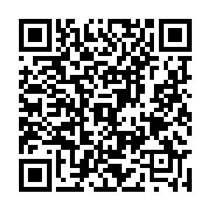 精神力和魂力同时动荡不安的冲击着洛倾婉的大脑二维码生成