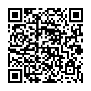 精神力差不多就能够和一阶法圣甚至是二阶法圣相比了二维码生成