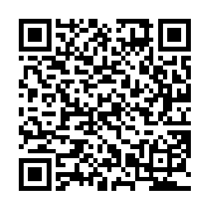 精神力量凝聚的我就躲在洞口的一处角落目睹了这一切二维码生成