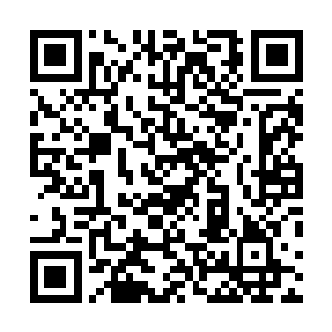 精英班级的所有成员的目光都落到了李峰和宋子健的身上二维码生成